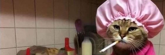 Louise Litzenberg banner