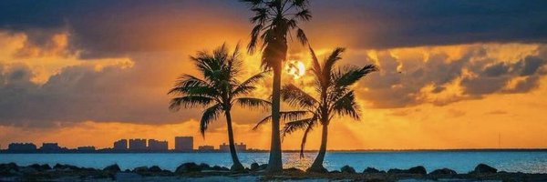 NonMS305 Profile Banner