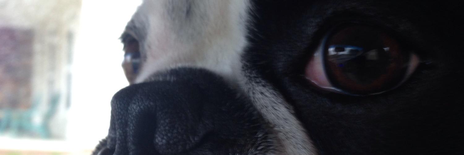 Elove1007's profile banner image