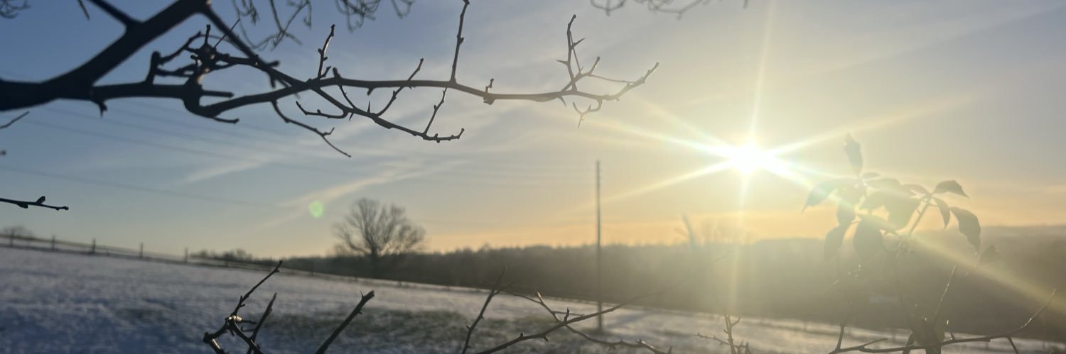 RuaneElane's profile banner image