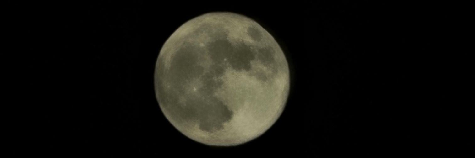 CrazyFlo405's profile banner image