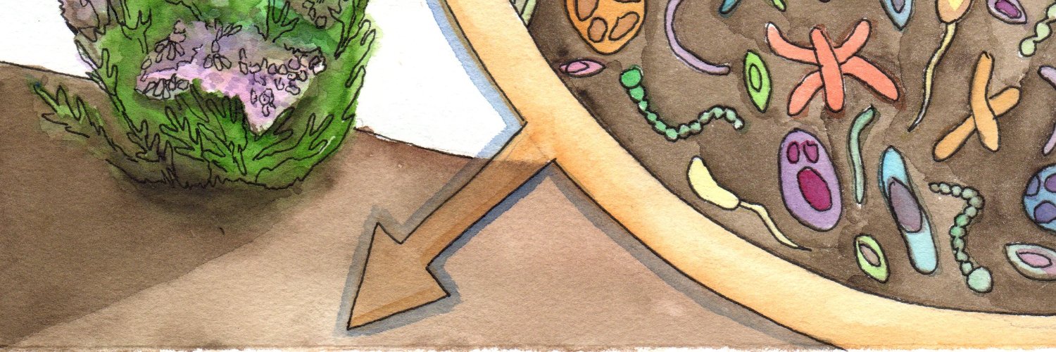 rayo banner