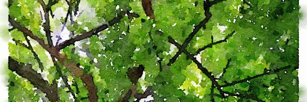K_Anes_ Profile Banner