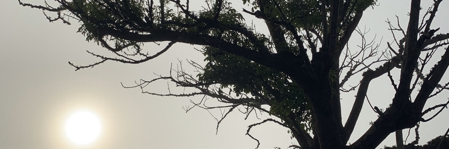 cheng_adam's profile banner image