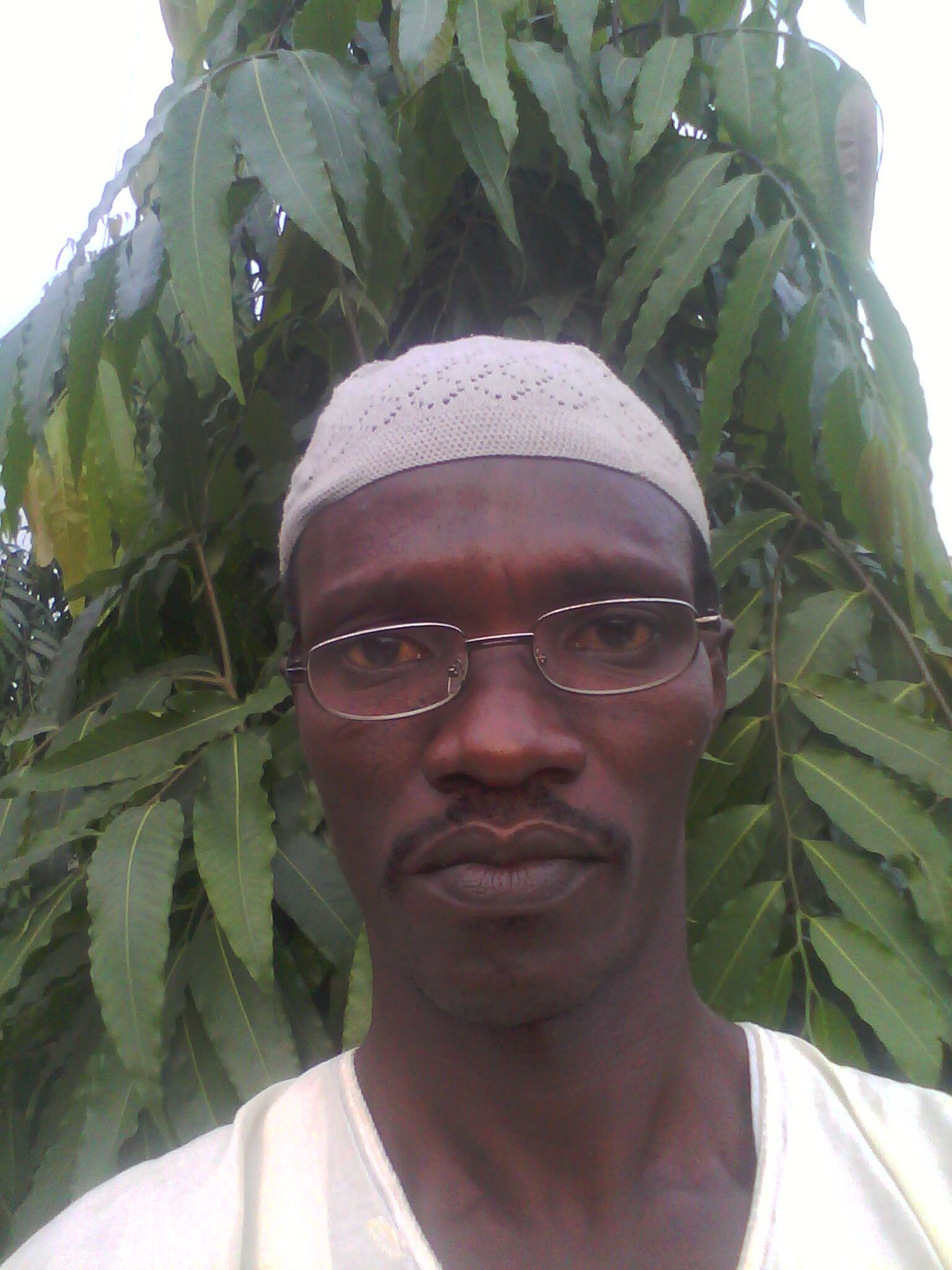 IbFolami's profile banner image