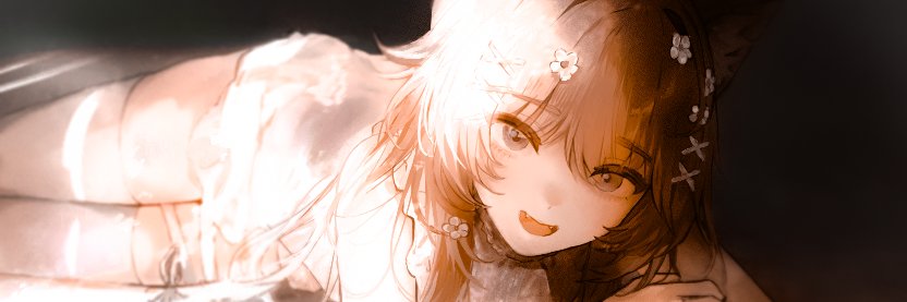 bronzeii002's profile banner image