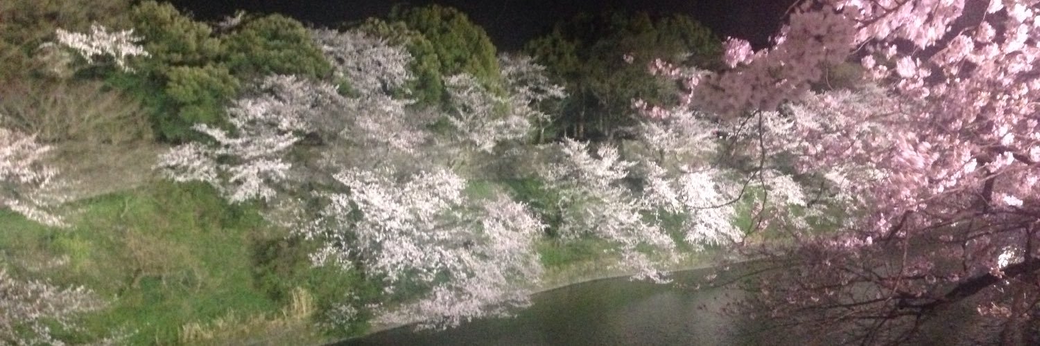 southerncrossZ's profile banner image