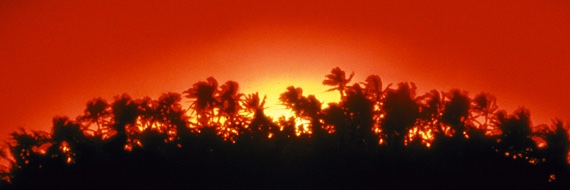 SierraDeltaGolf's profile banner image