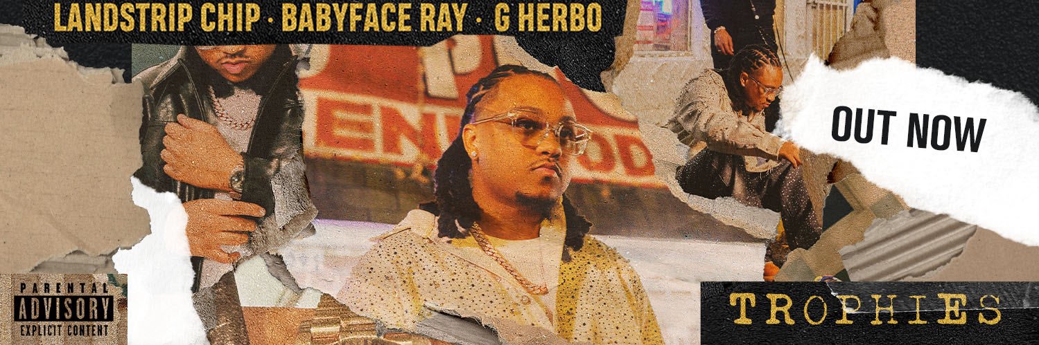 Landstrip Chip banner