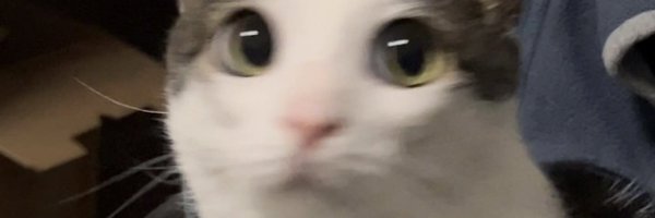 hesayaaa Profile Banner