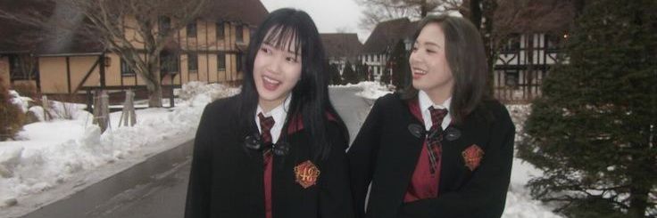 zica banner
