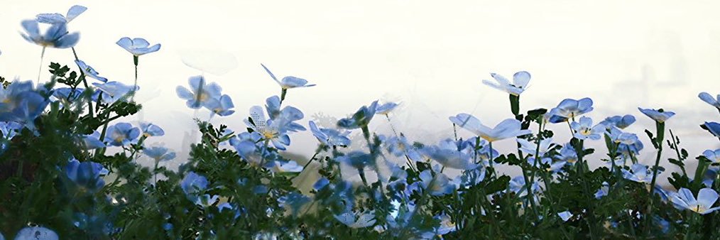 おフランス banner