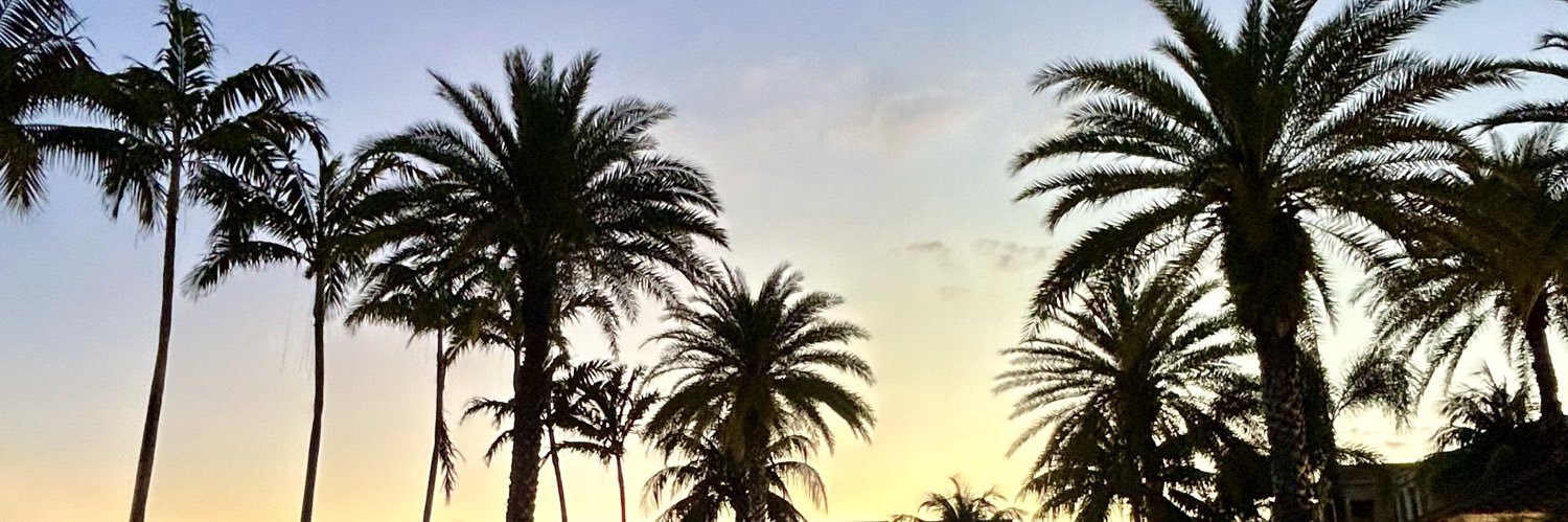 isabelvirginia_'s profile banner image