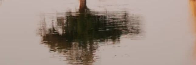 valetanyoni's profile banner image