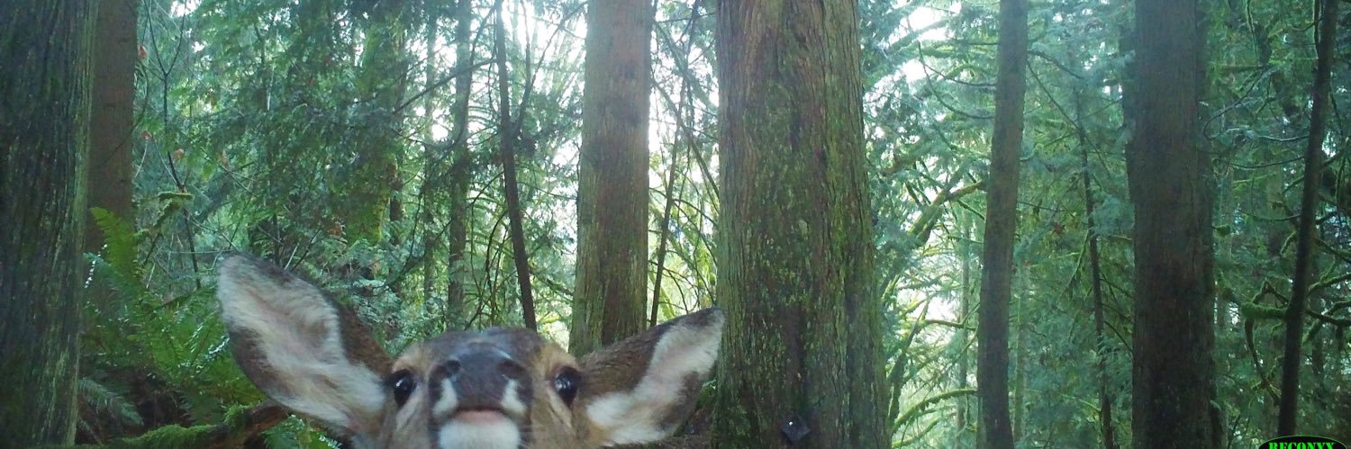 coolhuntin's profile banner image