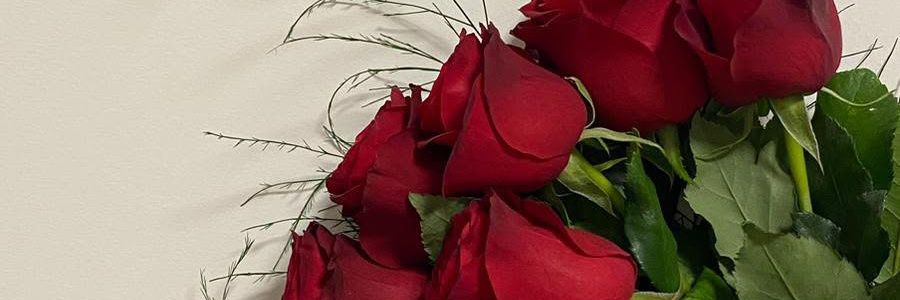 FatmaDelen12's profile banner image