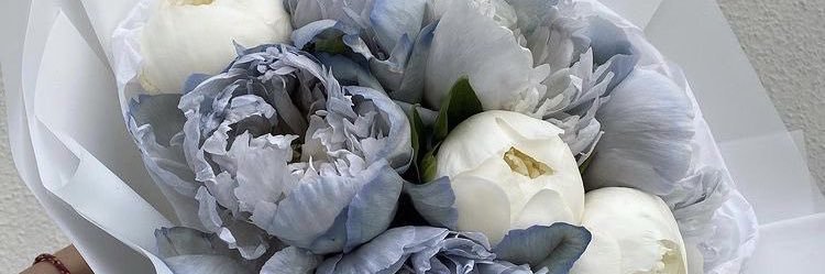 just_andreaa's profile banner image