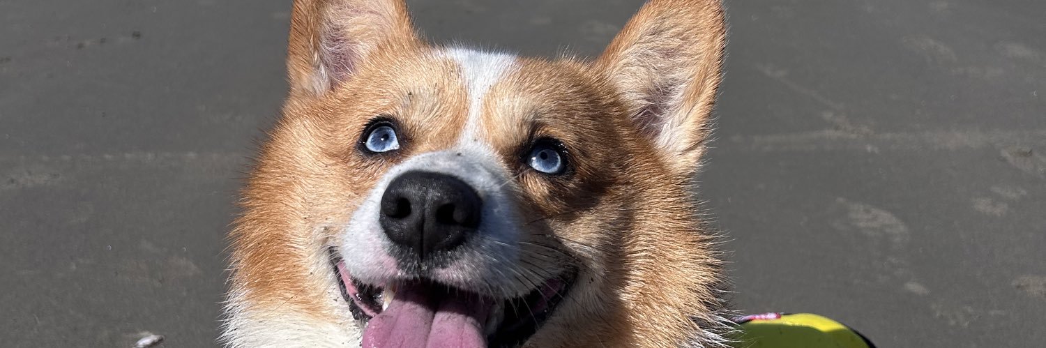MarcusNorriss's profile banner image