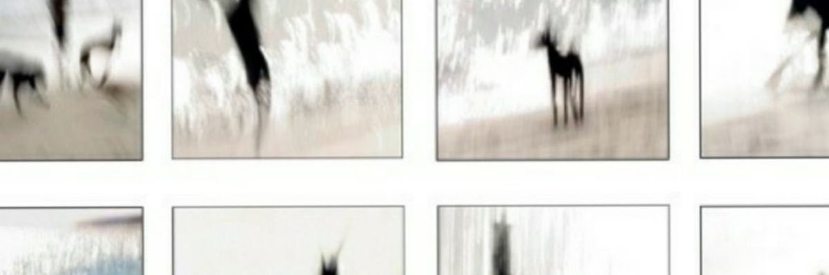 icrsmiller's profile banner image