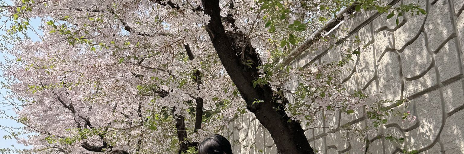onyouriqlima's profile banner image