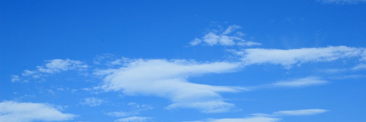mint_subaru's profile banner image