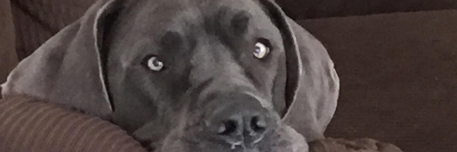 othello440's profile banner image