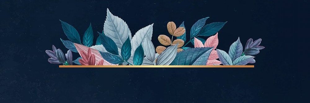 Wawa Lin banner