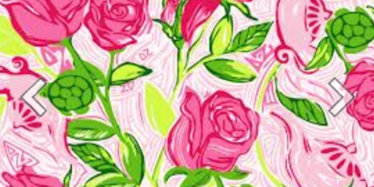DeltaZeta_OO's profile banner image