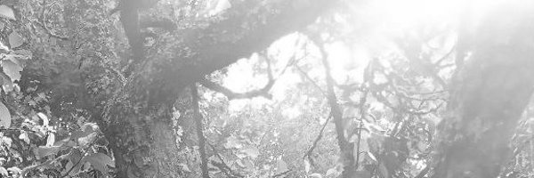 KlapprothKay Profile Banner