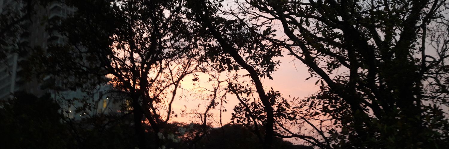 nataliahumada's profile banner image