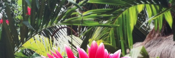 tasminlittle Profile Banner