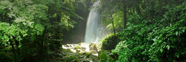 xrp Profile Banner
