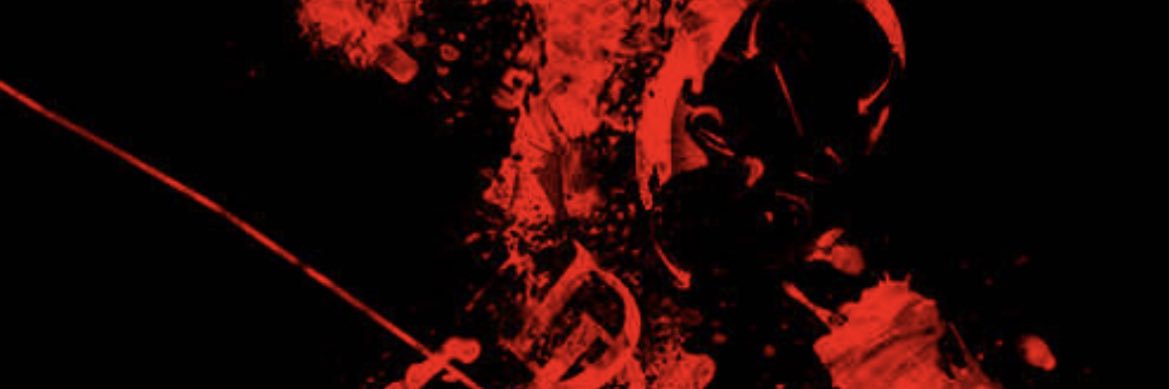 Hayzer banner