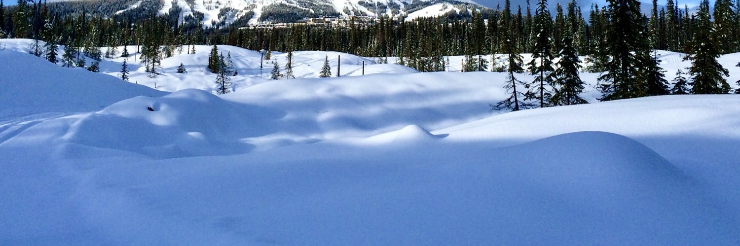 Madness In Time banner