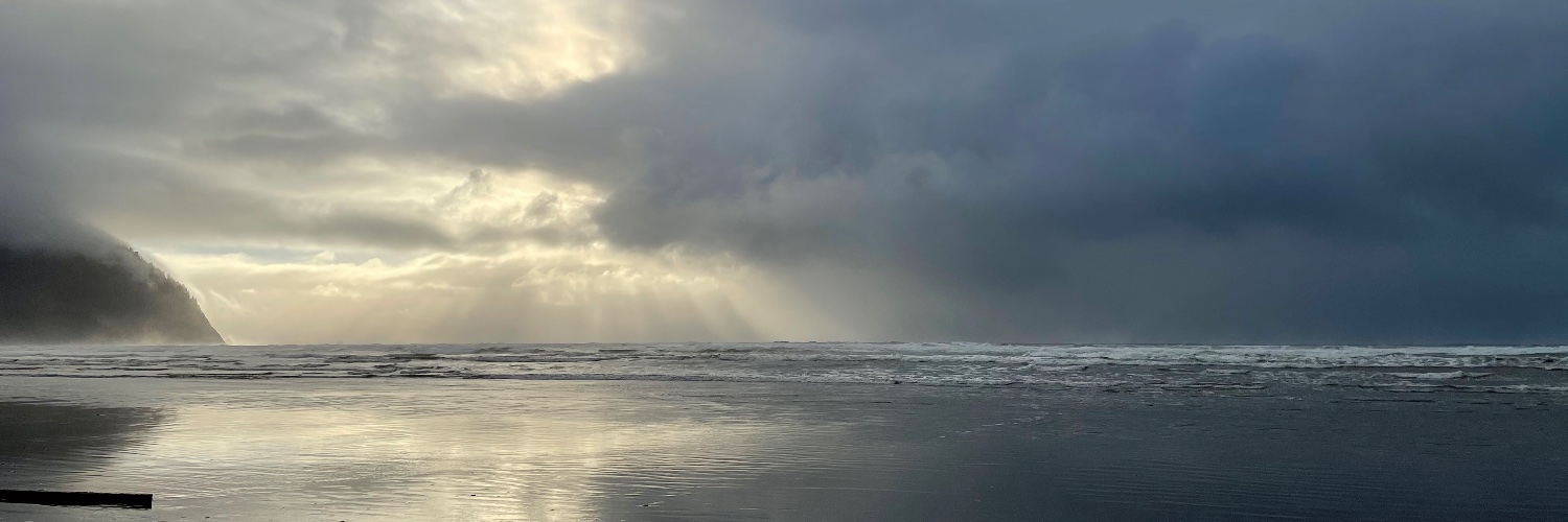 Robert Meyers banner