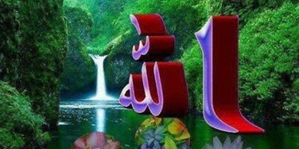 wafa8462's profile banner image