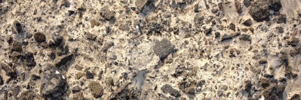 Sengupta Profile Banner