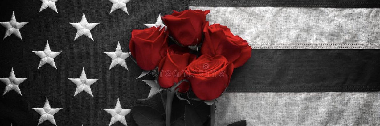 Anna Sormano 🇺🇸 banner