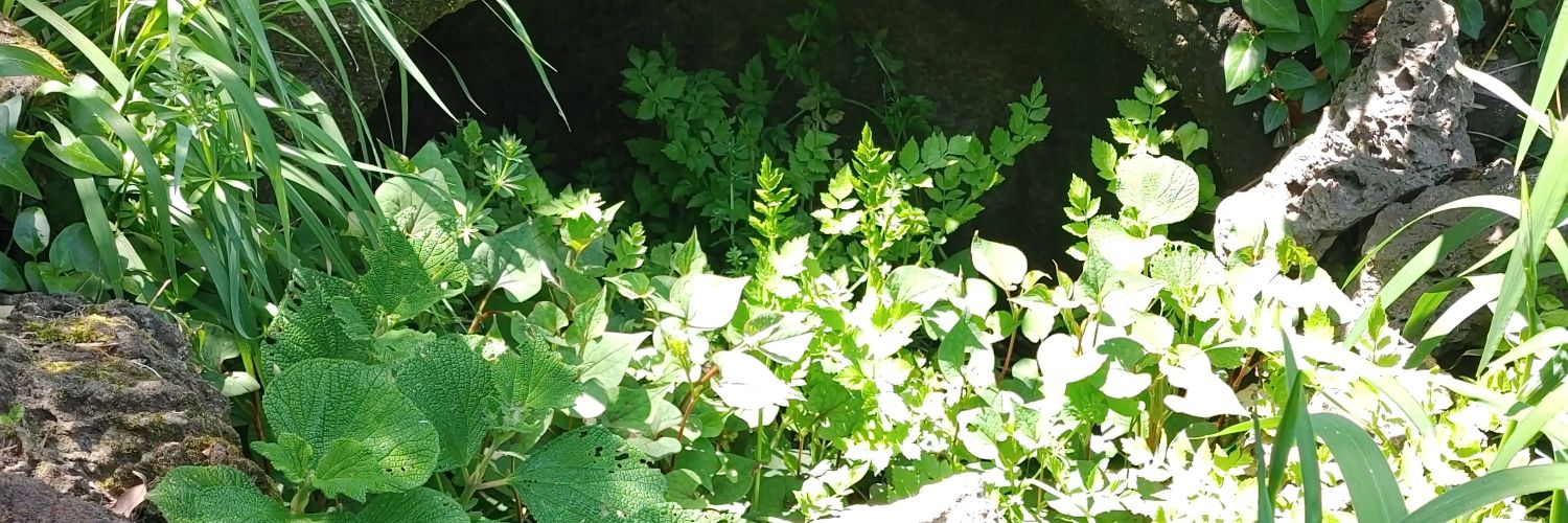 riho1120's profile banner image