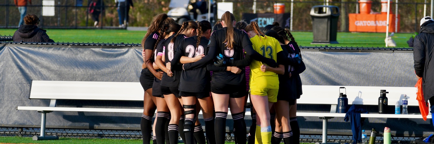 Emma Fleming #3 banner