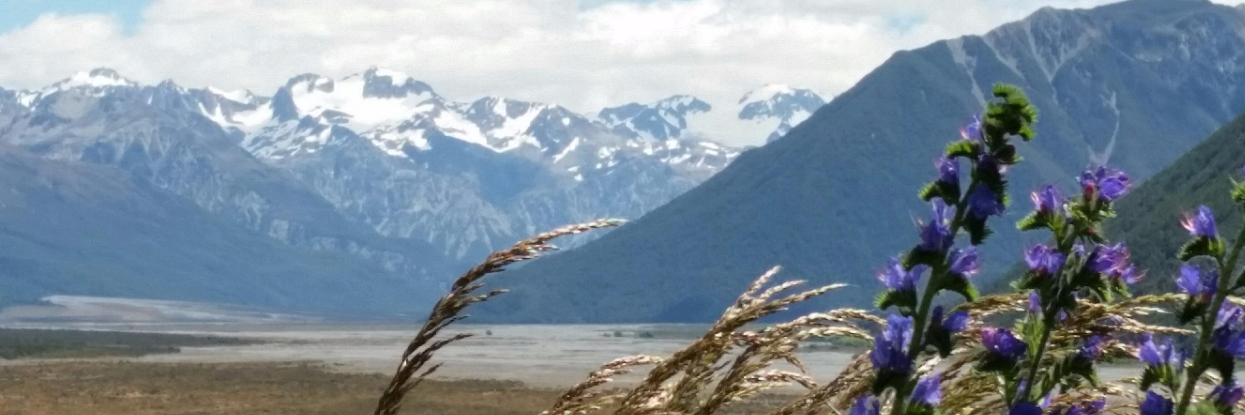 golfergal21's profile banner image