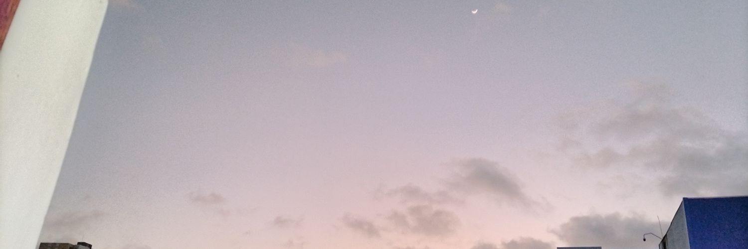 𝓓. banner