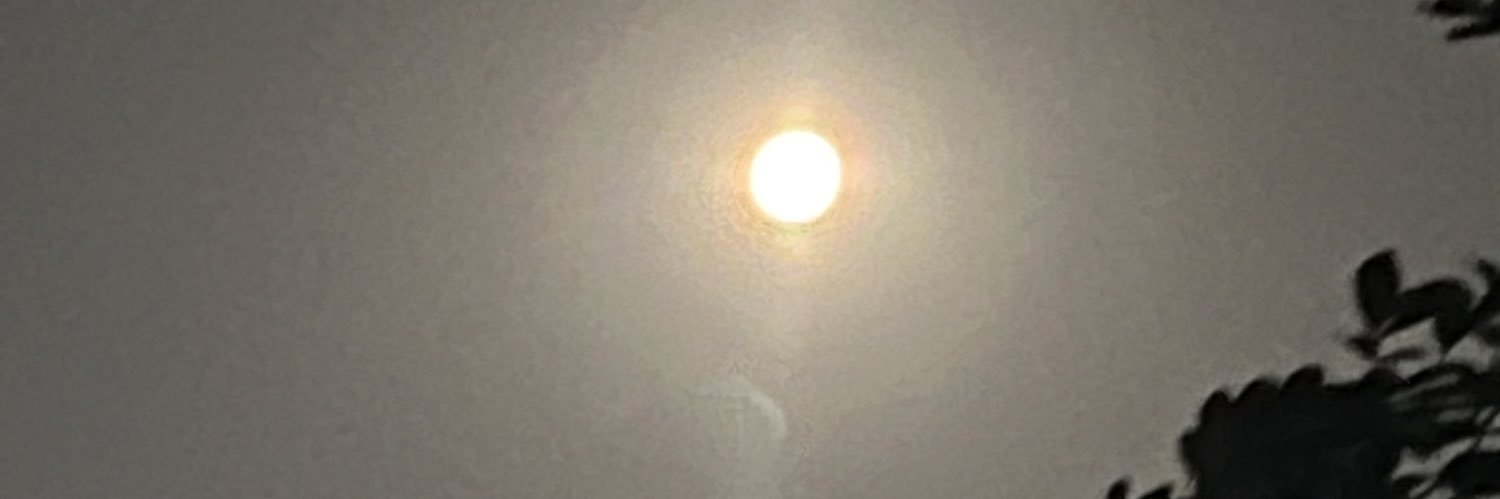 siwidiii's profile banner image