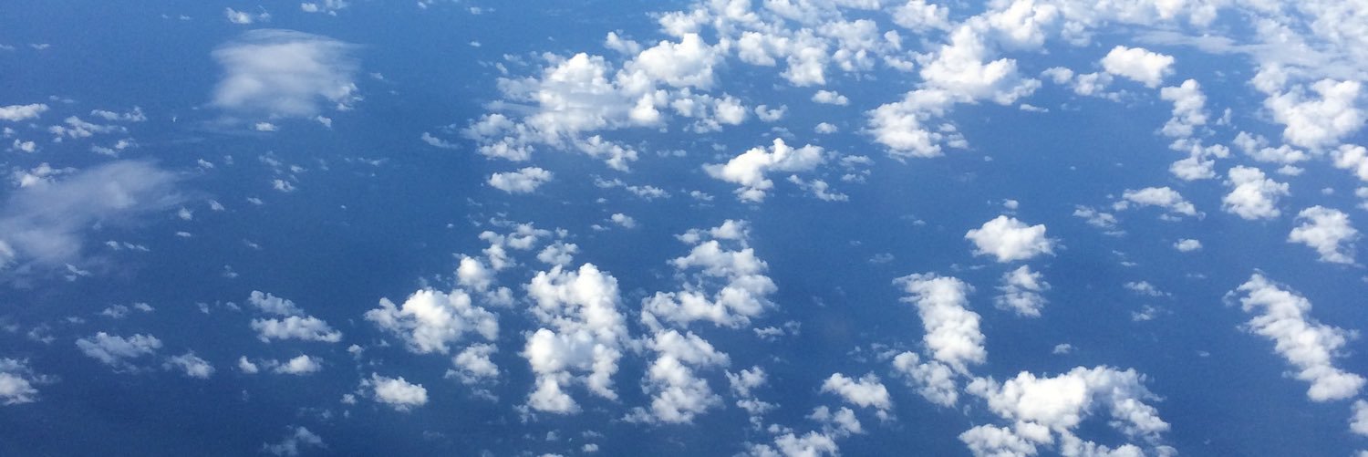 ReneeWernink's profile banner image