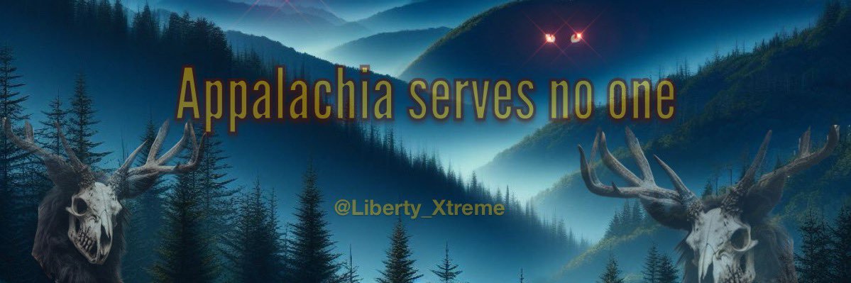 Appalachian Liberty's banner