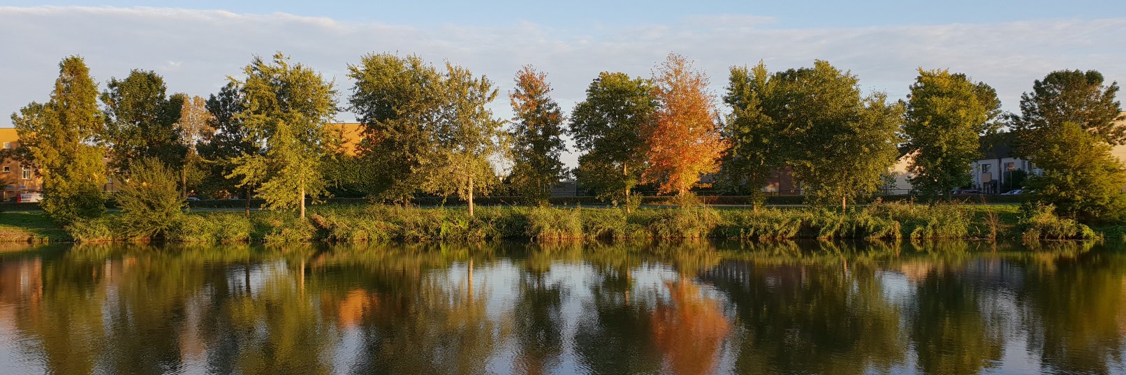 Julian Wraith banner