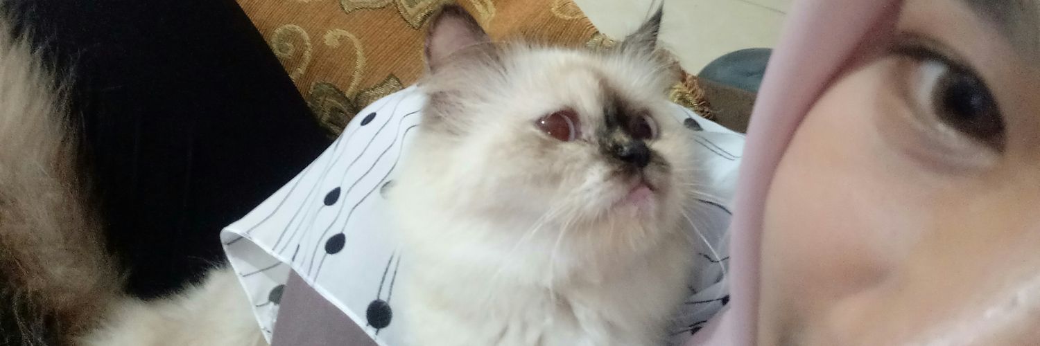 giiiits's profile banner image