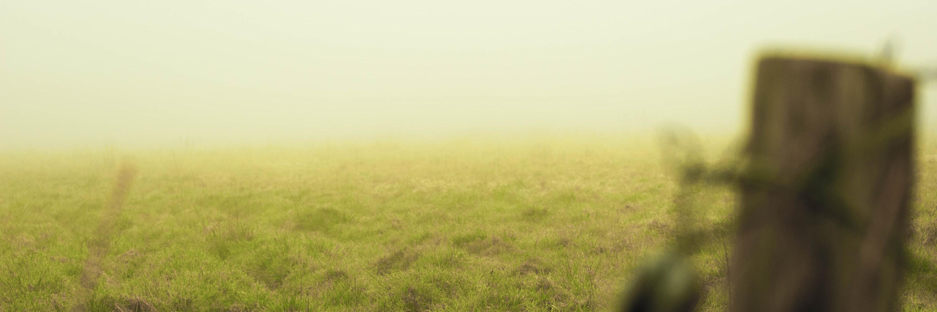 blehninja's profile banner image