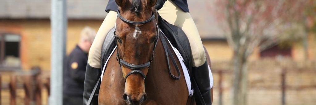 Andrea burdett banner