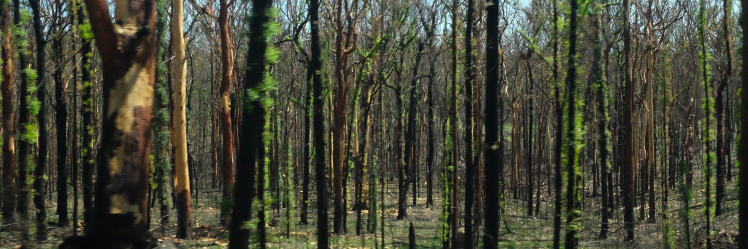 La p'tite Blan 🔥 Podcast 🎧 Du Poil sous les bras banner